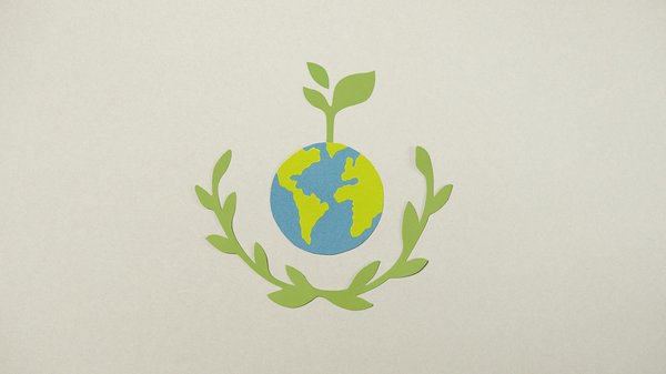 Votre partenaire immobilier : petite commission à dammarie