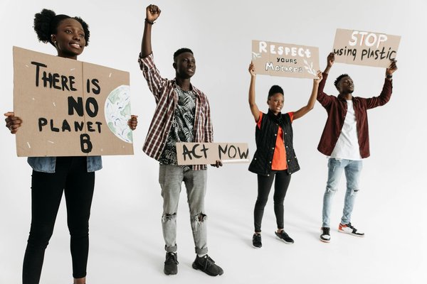 Choisir la chatière électronique idéale pour votre compagnon